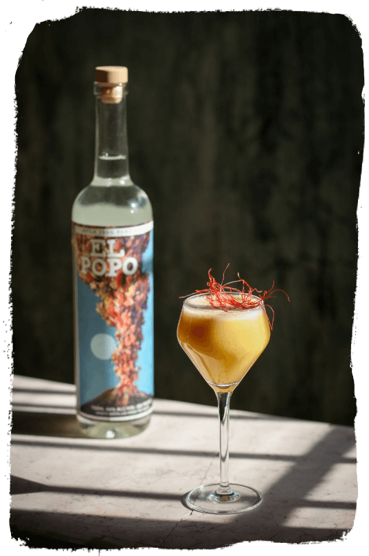 A bottle of El Popo Avila next to a cocktail